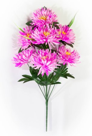 Астра "Бельгийская" 7 цветков