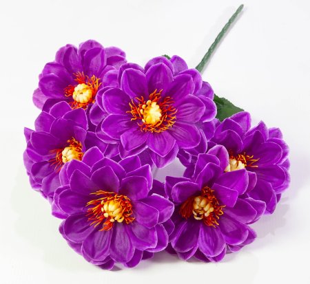 Букет " Лопуха" 6 веток  6 цветков