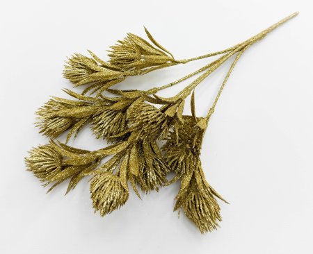 Василистник золото 