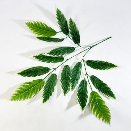 картинка Лист персика с белой каймой от магазина KALINA