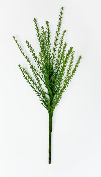 картинка Вереск "Эрика" лето от магазина KALINA