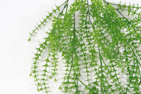 картинка Ампельная зелень "Эстрагон" 1 от магазина KALINA