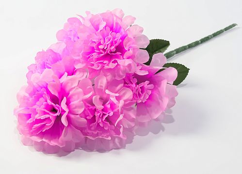 Букет хризантем "Помпон" 6 цветков от магазина KALINA являющийся официальным дистрибьютором в России 