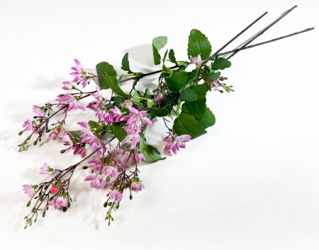 Дейция гибридная розовая