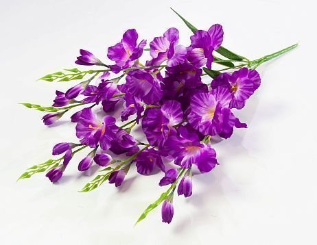 Букет гладиолуса 5 веток 40 цветков от магазина KALINA являющийся официальным дистрибьютором в России 