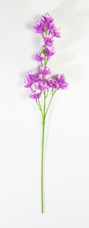 Ветка с мелким лотосом пластик