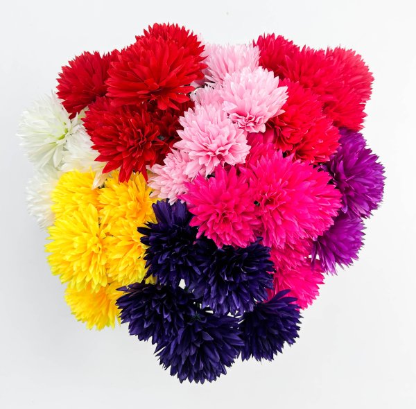 Хризантема "Репутация" 7 цветков