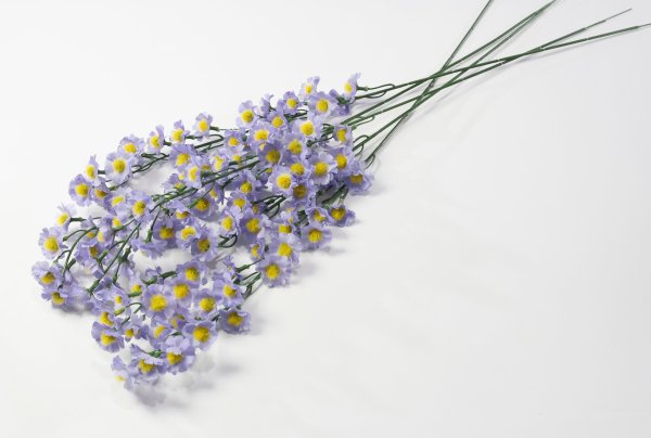 Ветка ромашек "Суприм мелкая"