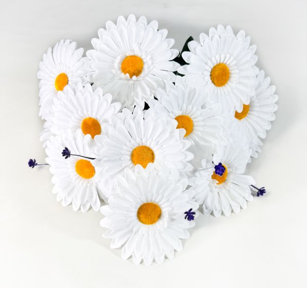 Ромашка "Белый ковер большая" 13 цветков