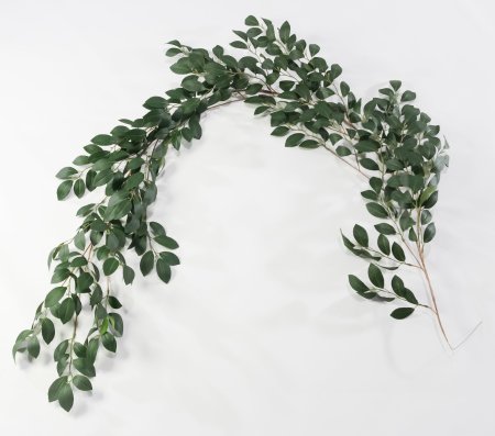 картинка Лиана с резным листом от магазина KALINA