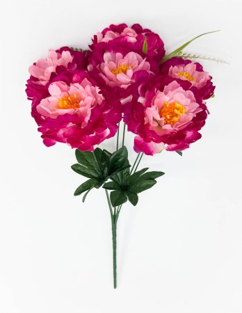 Пион "Лаки" 6 цветков