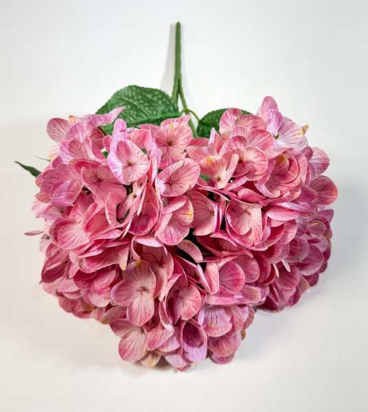 Букет гортензий 5 веток розовая