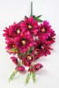 Георгин "Очарование" 11 веток