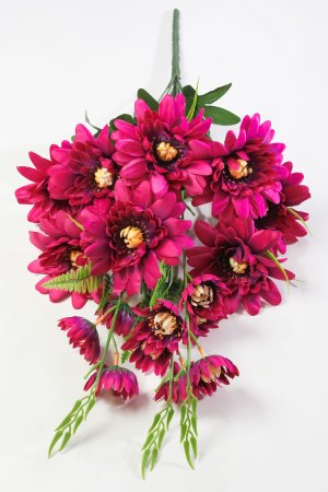 Георгин "Очарование" 11 веток