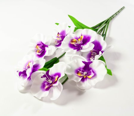 Букет орхидеи 10 веток 10 цветков