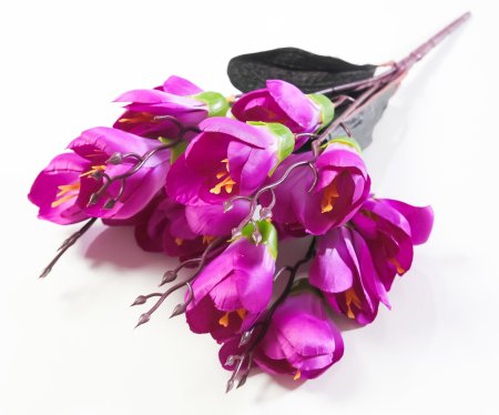 Крокус "Звездный вальс" 15 цветков