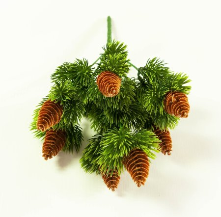 картинка Ветка с шишками от магазина KALINA