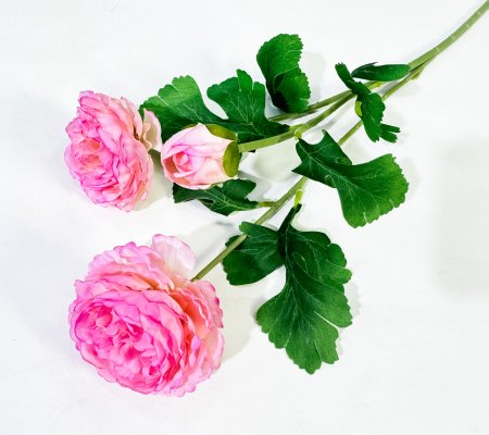 Пион "Махровый" 2 цветка 1 бутон розовый