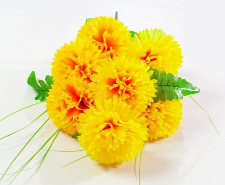 Гвоздика "Блеск" 8 цветков