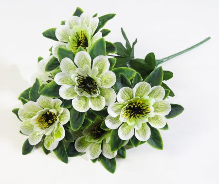 Букет георгина  "Баронесса" 6 веток  6 цветков