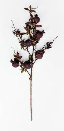 Гранат "Поздняя осень"