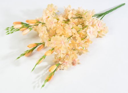 Яблоня "Астарта" 5 веток