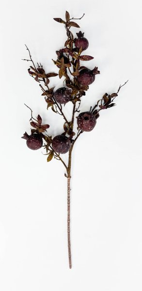 Гранат "Поздняя осень"