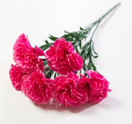 Гвоздика "Триумф" 7 цветков