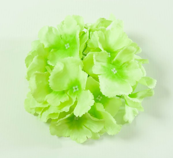 Насадка гортензии