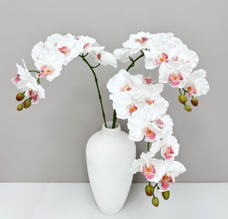 Орхидея "Биг Лип" белая 9 цветков