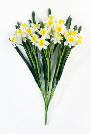 Нарцисс 28 цветков