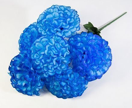 Букет шафрана "Супер гигант" 6 цветков  от магазина KALINA являющийся официальным дистрибьютором в России 
