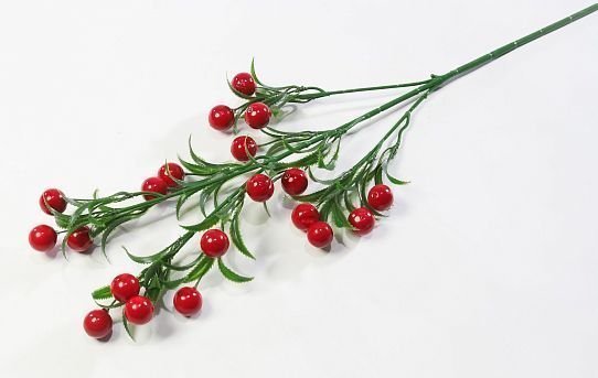 Ветка с крупными красными ягодами от магазина KALINA являющийся официальным дистрибьютором в России 