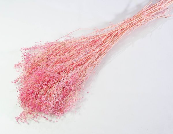 Гипсофила стабиллизированная