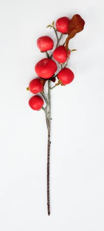 Хурма 7 плодов