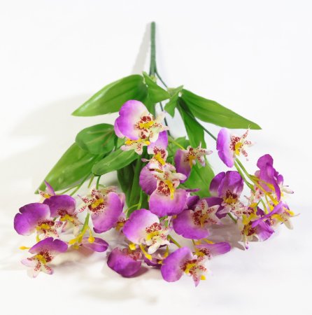 Орхидея "Милашка"