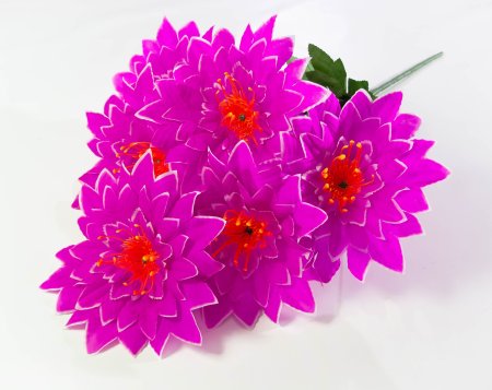 Астра "Великан" 6 веток