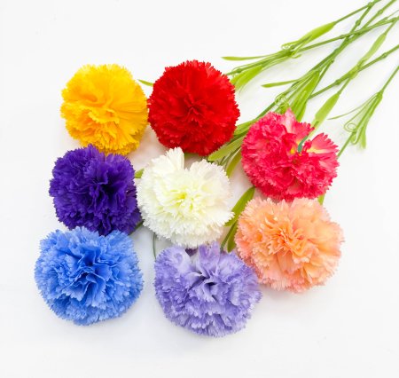 Гвоздика "Шабо" 