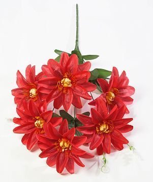 Астра "Вираж" 6 цветков от магазина KALINA являющийся официальным дистрибьютором в России 