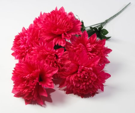 Астра "Женевьева" 7 цветков