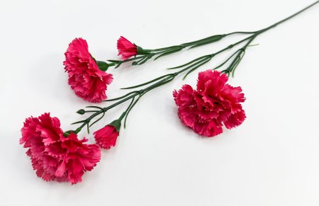 Гвоздика ветка "Степ" 3 цветка 2 бутона разноцветная