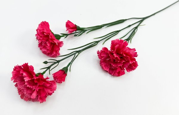 Гвоздика ветка "Степ" 3 цветка 2 бутона разноцветная