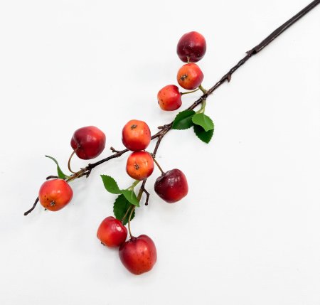 Ветка ранетки 10 плодов