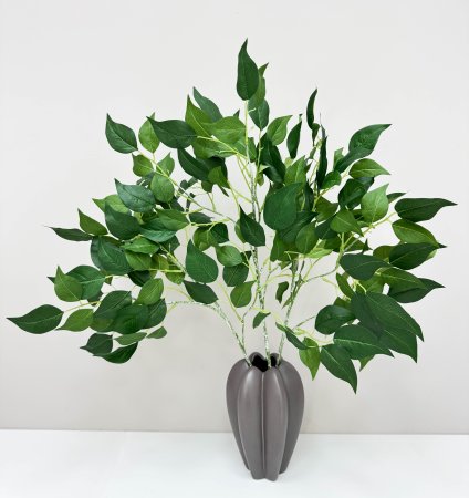 картинка Ветка фикуса "Шёпот лепестков" от магазина KALINA