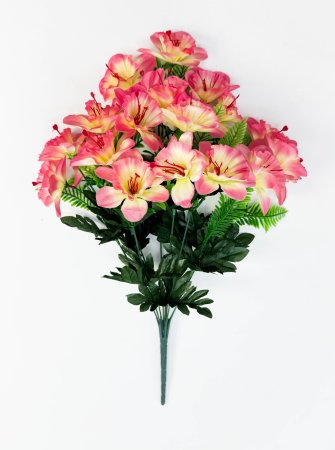 Нарцисс  22 цветка