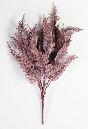 картинка Ветка даваллии Осень 21 лист от магазина KALINA