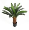 Пальма Цикас 90 см