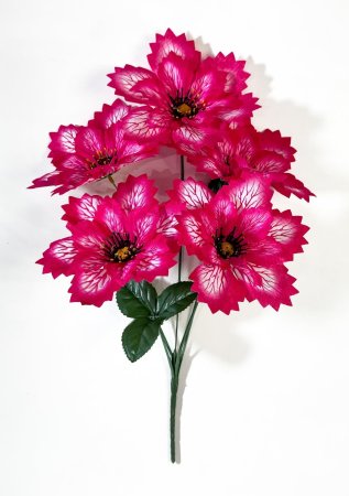 Астра "Долли" 5 цветков