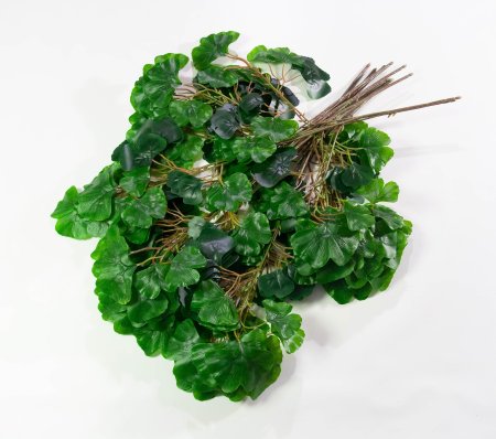 картинка Лист гинкго от магазина KALINA