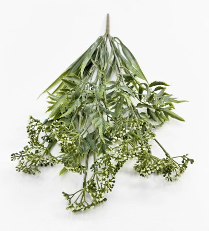 Тысячелистник белый